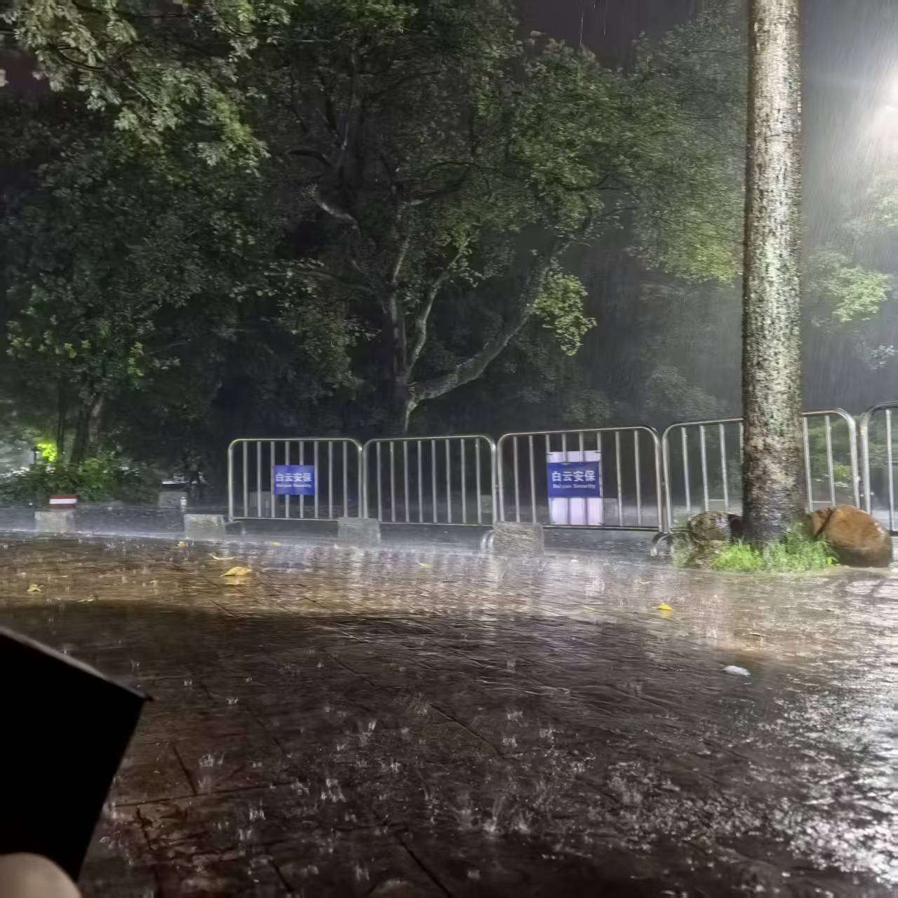 雨夜登山途中的风景